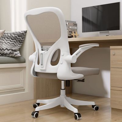 Home Office Scrivania e sedia reticolare Scaletta posteriore con supporto lombare altezza regolabile