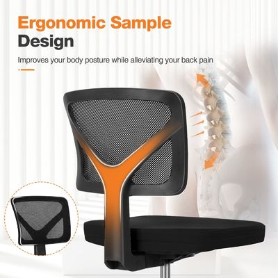 Scrivania e sedia ergonomica per ufficio a domicilio a schiena bassa con cuscino lombare in colore personalizzato
