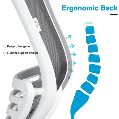 Sedia per computer a 360 giri con rete ergonomica con funzione di regolazione dell'altezza e supporto alla vita