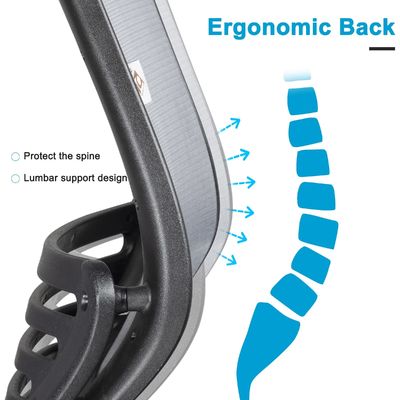Sedile ergonomico per ufficio per computer con supporto per braccio e vita regolabile in altezza Grigio