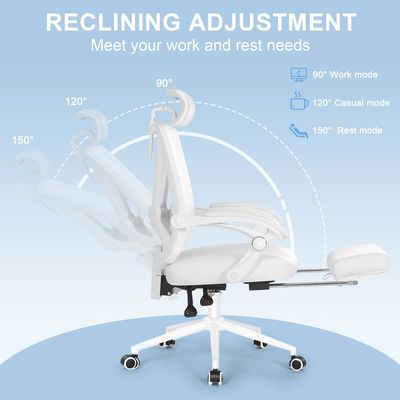 Executive High Back Office Chair con 360 giri e supporto lombare regolabile 2D