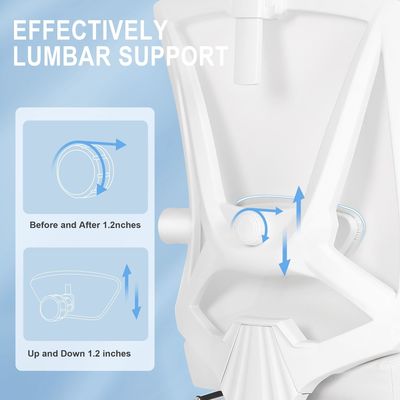 Executive High Back Office Chair con 360 giri e supporto lombare regolabile 2D