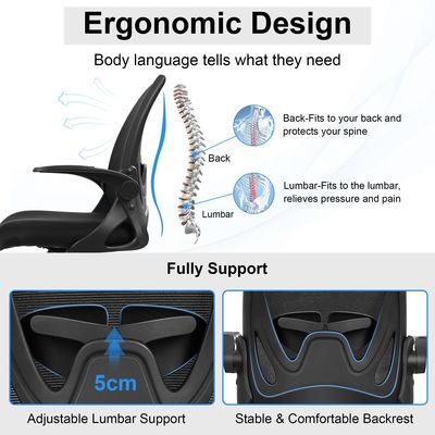 Sedia ergonomica esecutiva con appoggio lombare e ferro di tipo metallico